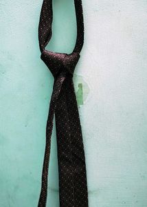 Men's Dotted Necktie