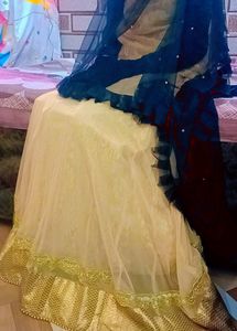 Lehnga Beige Colour( Fix Price)