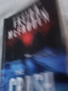 The Crash by Freida McFadden