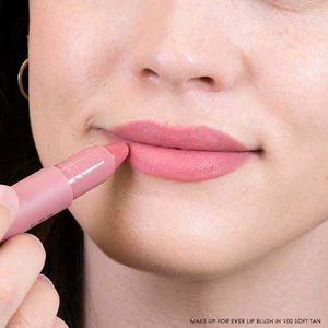 MAKE UP FOR EVER  Artist Lip Blush In 100