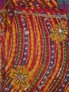 Vibrant Indian Saree with Embellishments