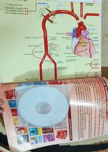 BD Chaurasia's Human Anatomy Books