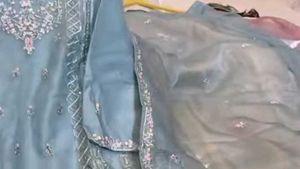 Organza Pakistani Suit Brand New