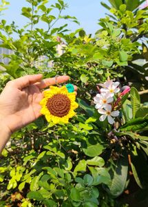 Handmade Crochet Sunflower Hair Clip