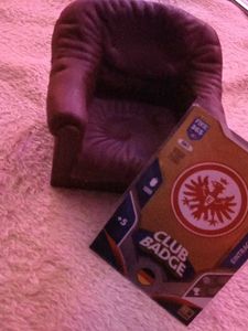 FIFA 365 Club Badge Card nazi Germany
