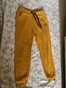 Peter England Yellow Joggers