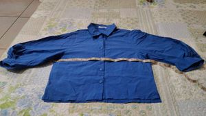 Classic Blue Button-Down Shirt