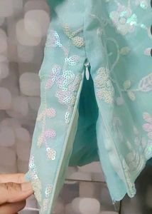 Sky Blue Embroidered Saree with stitched blouse