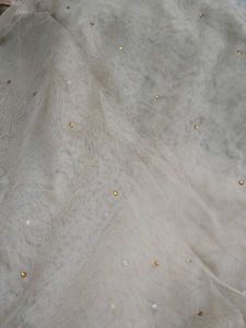 Embellished Net Dupatta