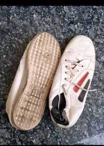 Sport Shoes