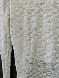 Sheer Lace Long Sleeve Top
