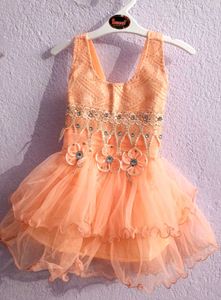 Elegant Peach Tulle Party Dress