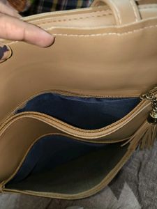 Chic Tassel Tote Bag