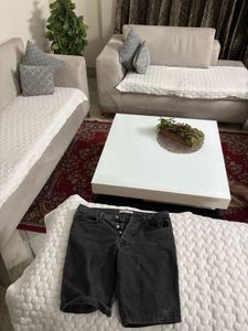 Zara shorts