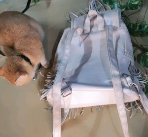 ✨Women Cute Bag