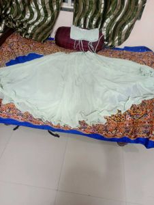 Light Green Lehenga Choli Set