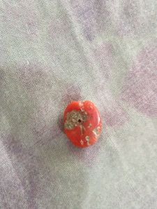 authentic bamboo coral and 1 italian