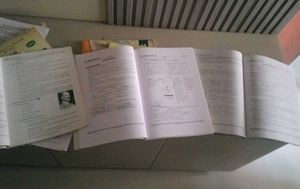 Notes included- Full prep Collection of ICSE