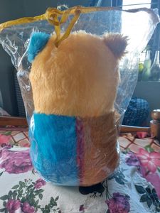 New Big Teddy Bear.