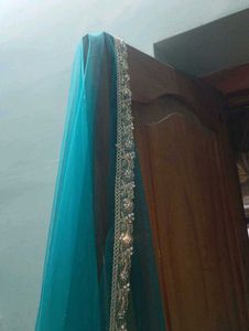 Emerald Green Embellished  veil