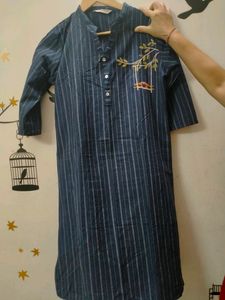 Prakriti Navy Striped Round-Neck Collared Straight