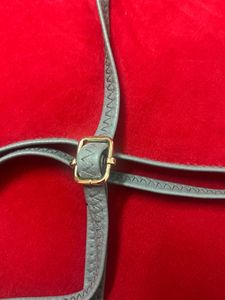 Crossbody Phone Bag (bought from USA)