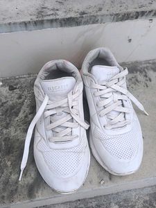 Skechers White Sneakers