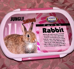 Rabbit lunchbox