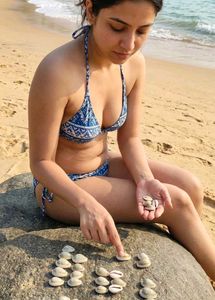 Natural Cowrie Shells for Jewelry Making