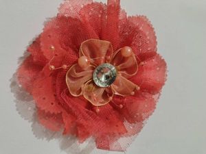Hair Clips set of 3