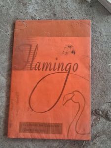 NCERT 12th Class english textbooks