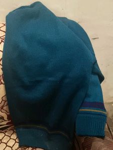 10. Vintage Cityscape &amp; Bird Knit Sweater