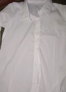 Women Stylish Trending Shirt