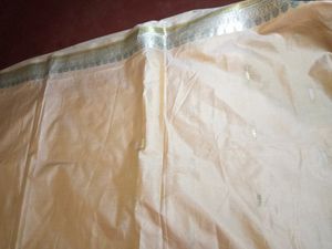Elegant Peach &amp; Silver Saree