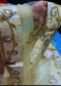 Embellished Lehenga Choli Set