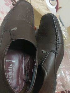Men's Brown Loafer Shoes
