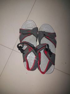 Campus Men's Casual Sandal.