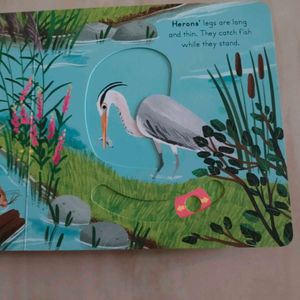 Big Outdoors for Little Explorers: River