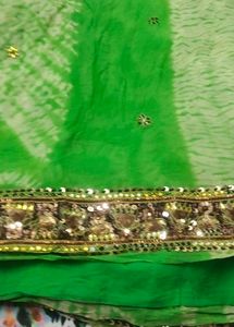 Saree with Embellished Border