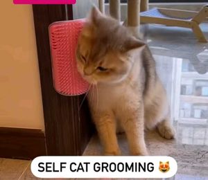 Cat Self Grooming Corner Brush