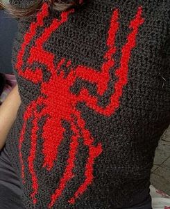 Spider Web Crochet Crop Top