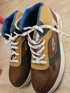 Asian Men's Brown  Sneakers(10 days used only)