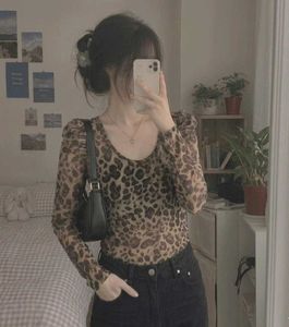 Leopard Print Mesh Top