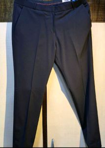 Women Navy Blue Business Suit/ Co ord Set