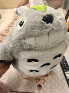 totoro
