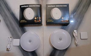 Pack of 2 Intelligent Induction Lamp, Motion Senso