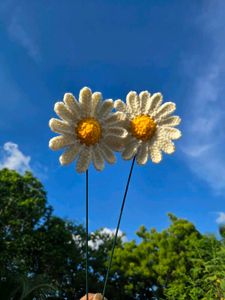 Handmade Crochet daisy