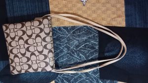 Coach Inspired Crossbody Bag