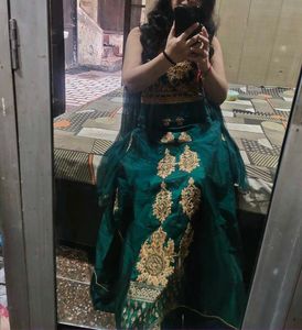 Elegant Green long gown dress ethnic wth dupata