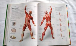 DK Ultimate Family Visual Dictionary